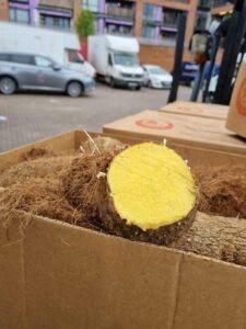 Yam-Man Products (11)
